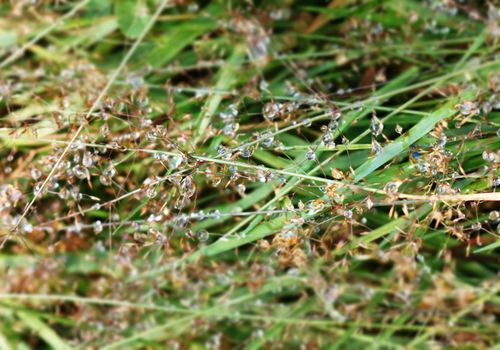 Fresh morning start with nature view