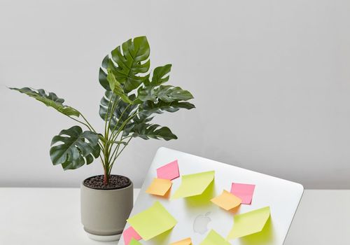 Minimalist desk with green plants